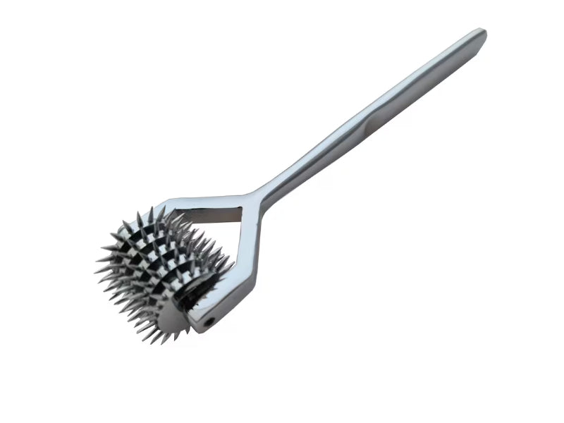 Wartenberg Pinwheel Neuro Sensory Wheel Bdsm Nerve Play